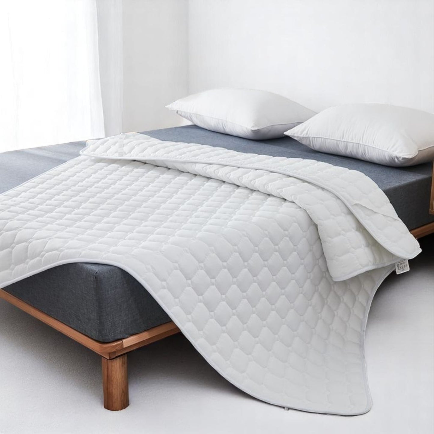 CloudEase Mattress Queen Size Protector
